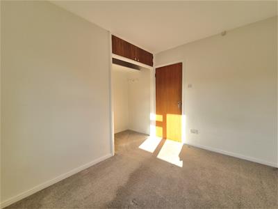 Picture 24